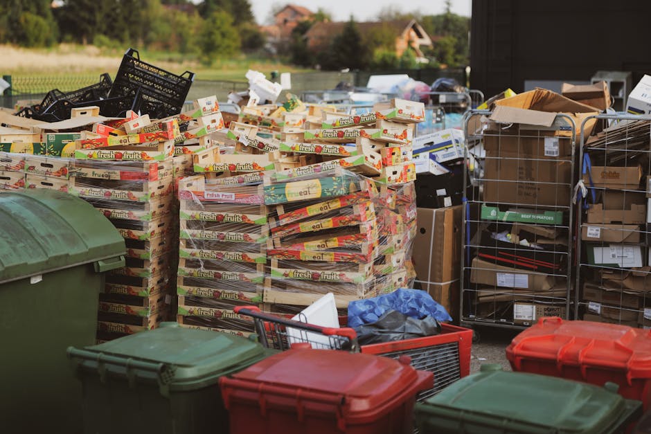 Rubbish collection at Broadwater Farm estate what to expect