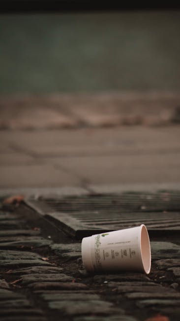 A black outdoor wheelie bin with a white label on the front and the name 'St. John's' printed above it, positioned on a paved sidewalk beside a curb. The bin's lid is partially open, revealing a colle